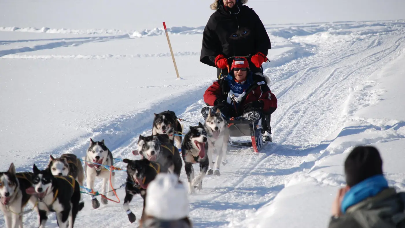 Finnmarksløpet in Alta, Norway