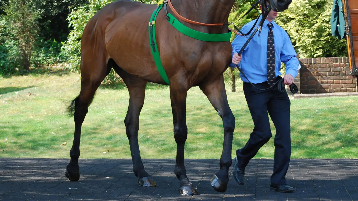 Grand National in Liverpool, United Kingdom