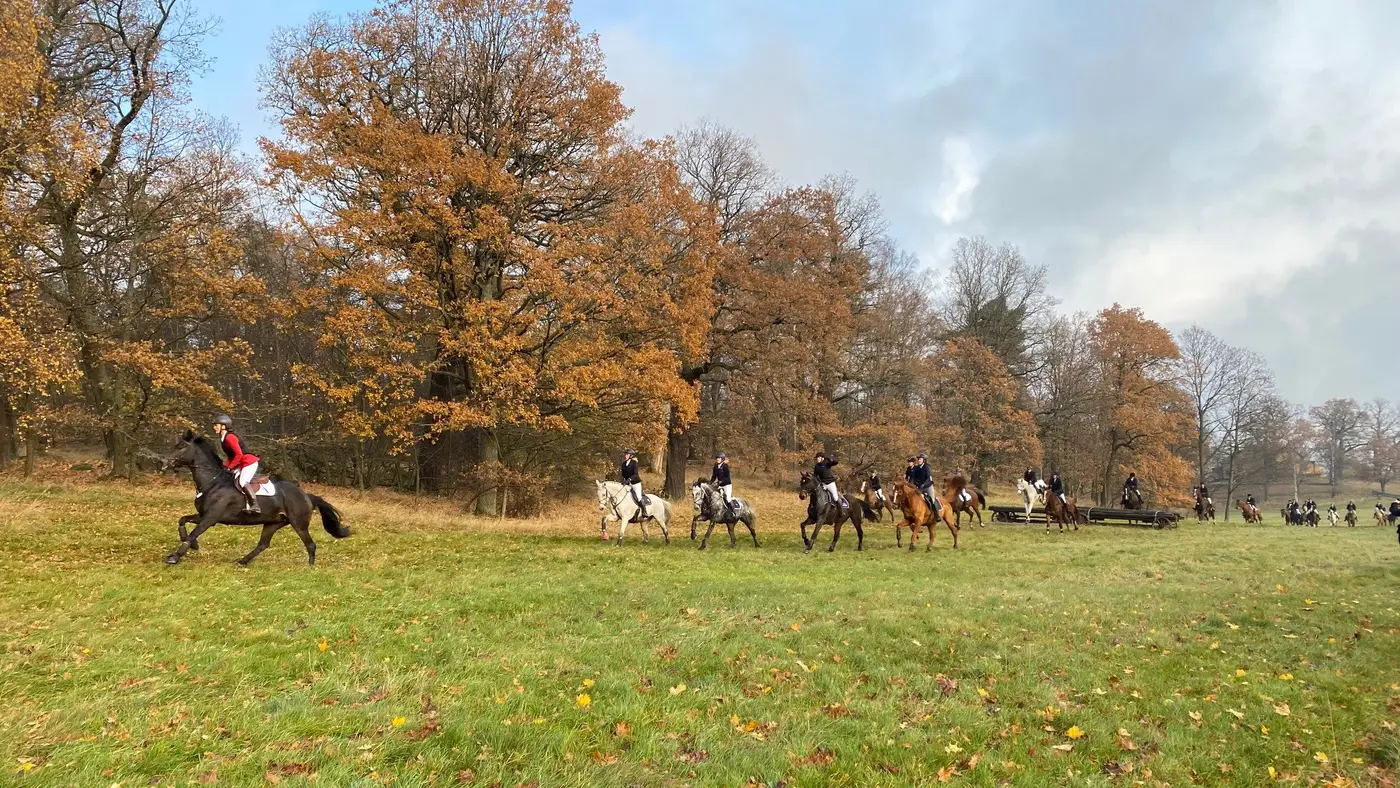 Hubertus Hunt in Klampenborg, Denmark