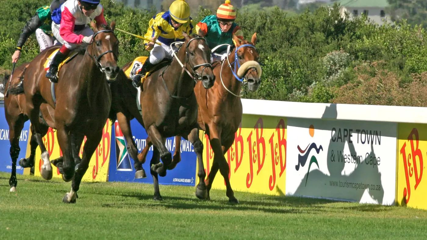 The venue: Kenilworth Racecourse